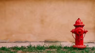 Leider haben wir keinen Alternativtext zu diesem Bild, aber wir arbeiten daran.