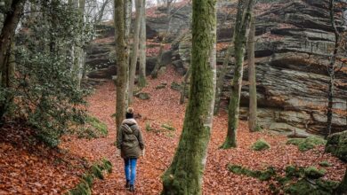 Gesucht werden ehrenamtliche Kräfte für das Markieren von Wanderwegen des Fränkischen Albvereins e.V.