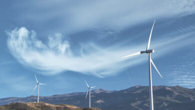 Energie und Geld sparen mit dem Energie-Atlas Bayern - Aktuelles - Die Stadt