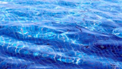 Gemeinde Birgland | Freibad Illschwang ab 16. September geschlossen