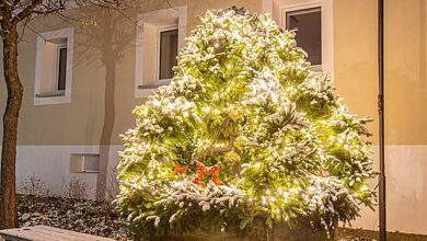 Freiwillige für das Schmücken des Dorfbrunnens gesucht