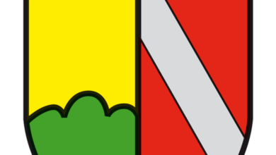 15.10.2024

                                                

                                                Gemeindebücherei Mintraching-Herbstferien Öffnung