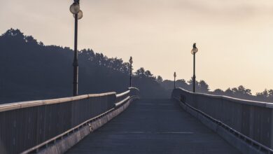 Bundesstraße 22, Cham-Mitte - Cham-Ost: Reparaturarbeiten an der Übergangskonstruktion der Regenbrücke - Aktuelles - Die Stadt