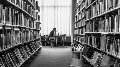 Stadtbibliothek ist ausgezeichnet! – Stadt Sulzbach-Rosenberg