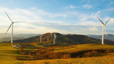 14.10.2024
	

	
	
		|   
		Mitteilungsservice
	

	



                
                
			
				Umweltmobil Herbstsammlung 2024
			
		
                
                
                
				
						Fahrplan Umweltmobil Herbst 2024