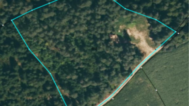 Verkauf der Waldfläche Flurnummer 688 der Gemarkung Demeldorf