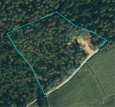 Verkauf der Waldfläche Flurnummer 688 der Gemarkung Demeldorf