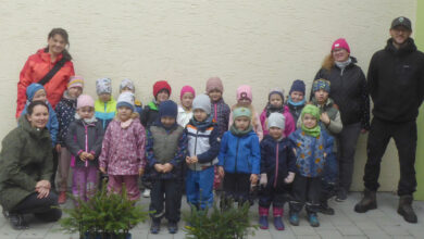 Den Wald näher erlebt - Gemeinde Gleißenberg