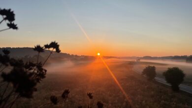 Allgemein        



        17. Oktober 2024
        Siegerfoto des Monats September im Fotowettbewerb
        „Sonnenaufgang im Kapellenfeld“ von Martin Auburger „Sonnenaufgang im Kapellenfeld“ – so lautet…