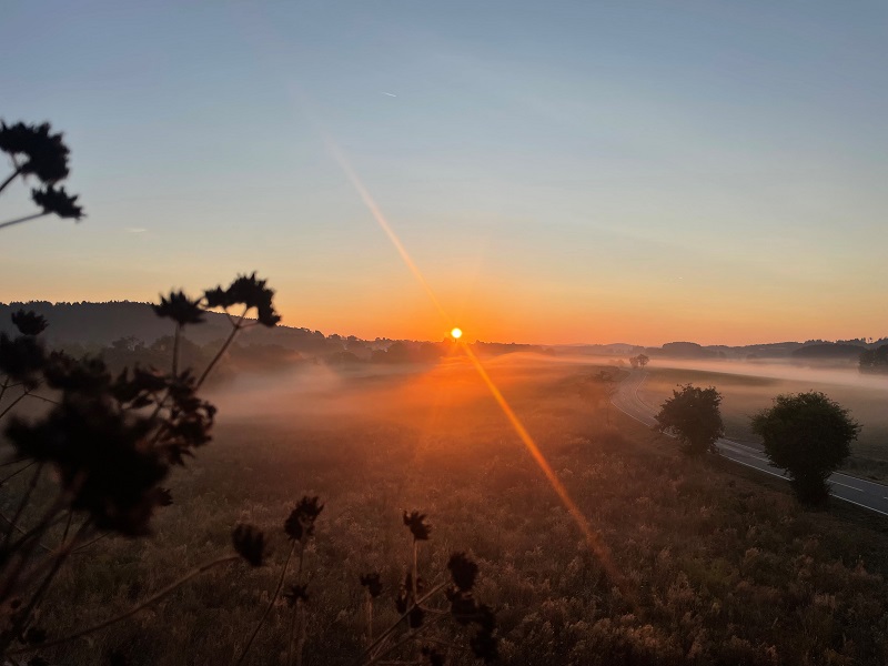 Allgemein
17. Oktober 2024
Siegerfoto des Monats September im Fotowettbewerb
„Sonnenaufgang im Kapellenfeld“ von Martin Auburger „Sonnenaufgang im Kapellenfeld“ – so lautet…