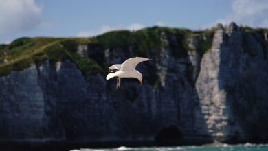 Familiennachmittag im MuseumsQuartier: Bibelgeschichten für Kinder am 20. Januar 2013.
                        
                    

                    

                    
                    
                        
                            
                            
                            
                                2013-01-10