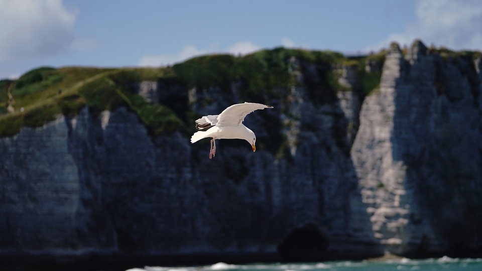 Familiennachmittag im MuseumsQuartier: Bibelgeschichten für Kinder am 20. Januar 2013.
                        
                    

                    

                    
                    
                        
                            
                            
                            
                                2013-01-10