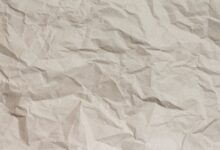 Bundesweiter Vorlesetag am 15.11.2024 in der Stadtbibliothek – Stadt Sulzbach-Rosenberg