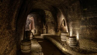 Thomas Kujat © Stadt Schwandorf
                                                                                         
                                    
                                                             
                            
                            
                                
                                    
                                         Nächste Führungen im Felsenkeller-Labyrinth                                    
                                                                        
                                         Termine:
Mittwoch: 06.11. um 18 Uhr 
Freitag, 08.11.; Samstag 09.11. und Sonntag, 10.11. jeweils um 16:00 Uhr   Mehr