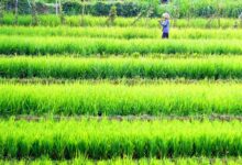 Fünfter Chamer Krippenweg - Aktuelles - Die Stadt