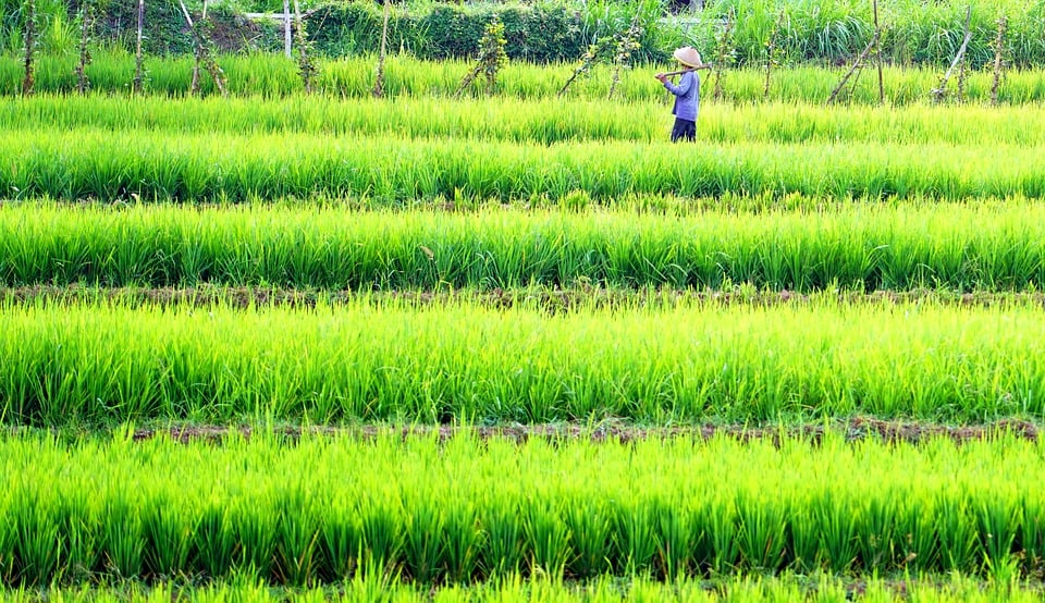 Fünfter Chamer Krippenweg - Aktuelles - Die Stadt