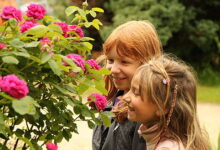 Einladung zum 13. Familienstammtisch