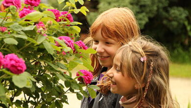 Einladung zum 13. Familienstammtisch