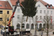 Christbaum schmückt wieder Oberen Marktplatz
                        
                    

                    

                    
                    
                        
                            
                            
                            
                                2024-11-13
                                
                            
                        

                            
                                
                                Rathaus & Bürgerservice