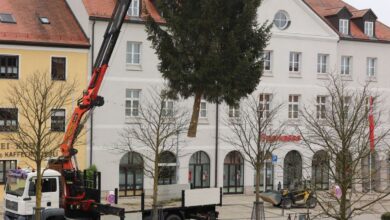 Christbaum schmückt wieder Oberen Marktplatz
                        
                    

                    

                    
                    
                        
                            
                            
                            
                                2024-11-13
                                
                            
                        

                            
                                
                                Rathaus & Bürgerservice