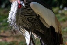 Abzug der Grüngutcontainer