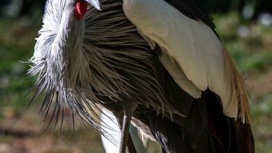 Abzug der Grüngutcontainer