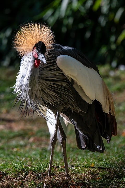 Abzug der Grüngutcontainer