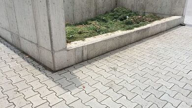 Schließung der Grüngutannahmestellen